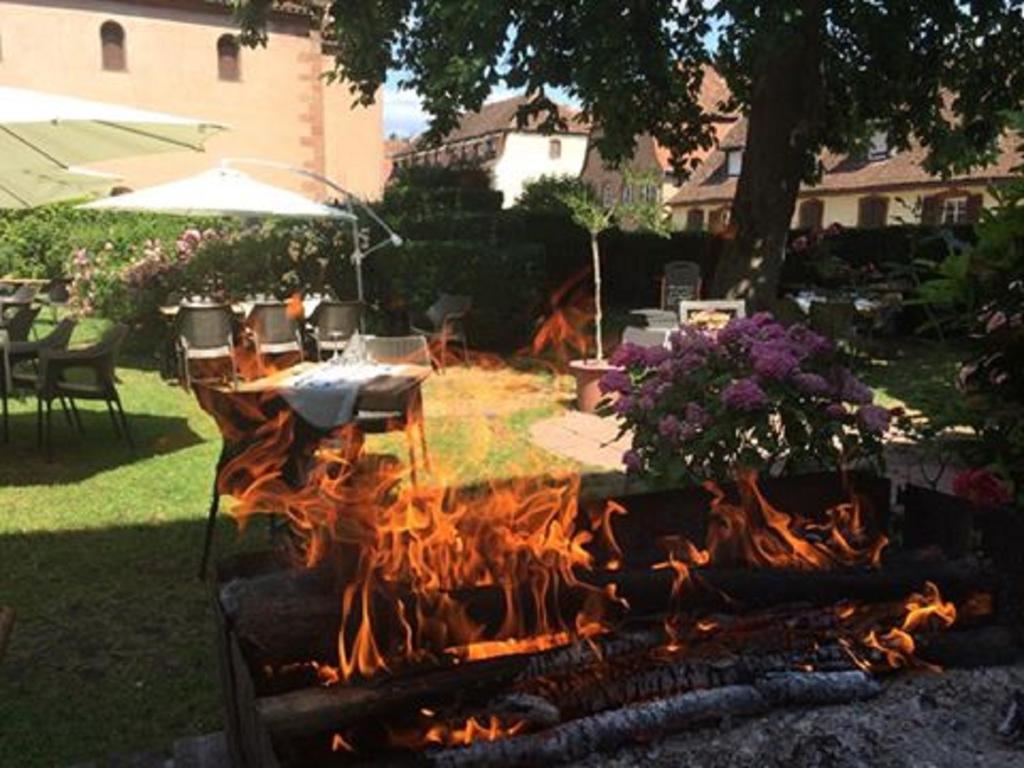 Hotel Du Herrenstein Neuwiller-lès-Saverne Екстериор снимка
