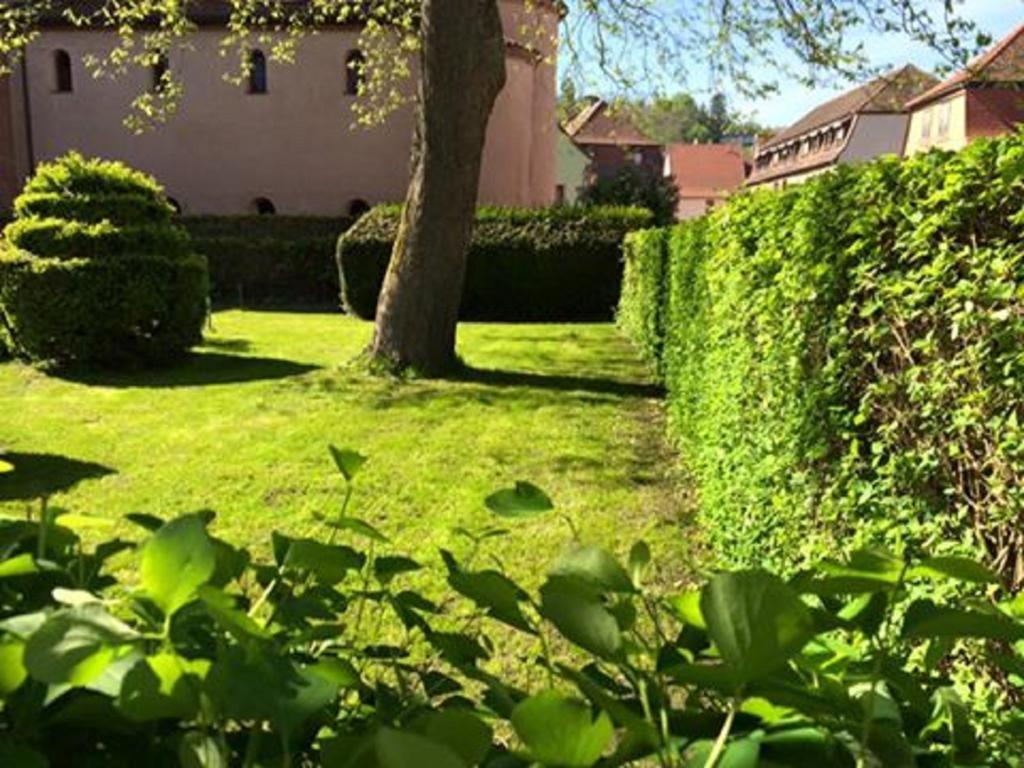 Hotel Du Herrenstein Neuwiller-lès-Saverne Екстериор снимка